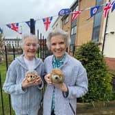 Caddington Grove residents Pauline Fahy (left) and Margaret Barton (right) pose with some fluffy hedgehog toys next to the care home’s new hedgehog highway crossing.