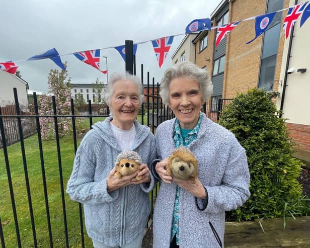 Caddington Grove residents Pauline Fahy (left) and Margaret Barton (right) pose with some fluffy hedgehog toys next to the care home’s new hedgehog highway crossing.