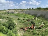 The hills on the site. Picture: Mary Walsh