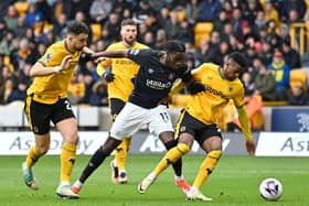 Elijah Adebayo looks to fashion a chance against Wolverhampton Wanderers on his return at the weekend - pic: Getty Images