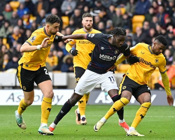 Elijah Adebayo looks to fashion a chance against Wolverhampton Wanderers on his return at the weekend - pic: Getty Images