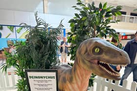 Dare to walk with dinosaurs at The Mall Luton