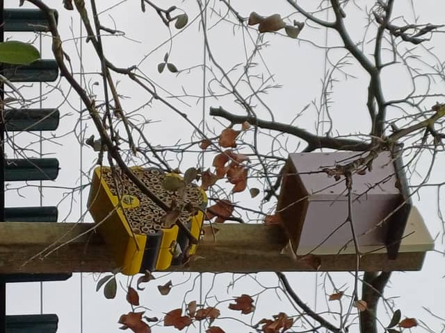 A bird box and bee hotel at Harlington