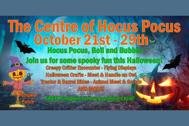 Herrings Green Activity Farm Hocus, Pocus, Boil and Bubble -  join them for some spooky fun down on the farm this Halloween, it’s going to be spooktacular!
There lots of Halloween events going on this half term, join them for some spooky fun with the birds and animals.