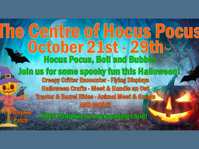 Herrings Green Activity Farm Hocus, Pocus, Boil and Bubble - join them for some spooky fun down on the farm this Halloween, it’s going to be spooktacular!
There lots of Halloween events going on this half term, join them for some spooky fun with the birds and animals.