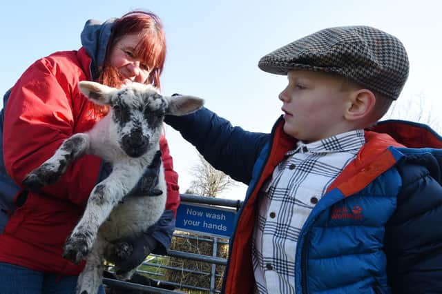 All Days Community Learning Farm bring a selection of animals to Wood Fold Primary School, Standish, for nursery and reception school children to meet and learn about.