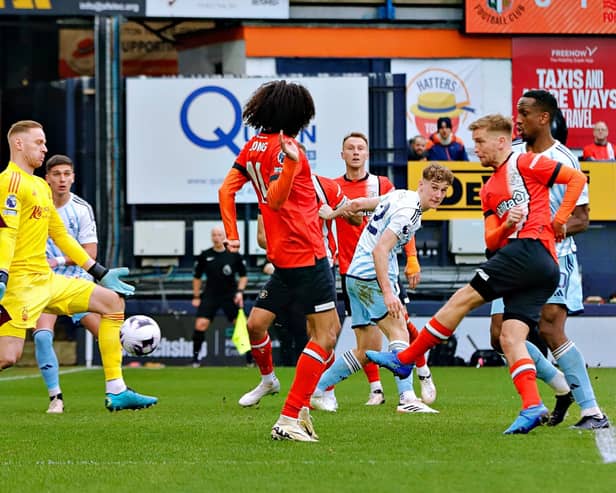 Luke Berry scores for Luton in the Premier League - pic: Liam Smith