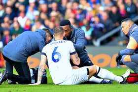 Ross Barkley receives treatment during Saturday's 1-1 draw with Crystal Palace - pic: Liam Smith