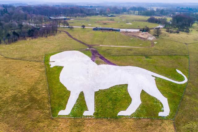 Pictured: The white chalk lion