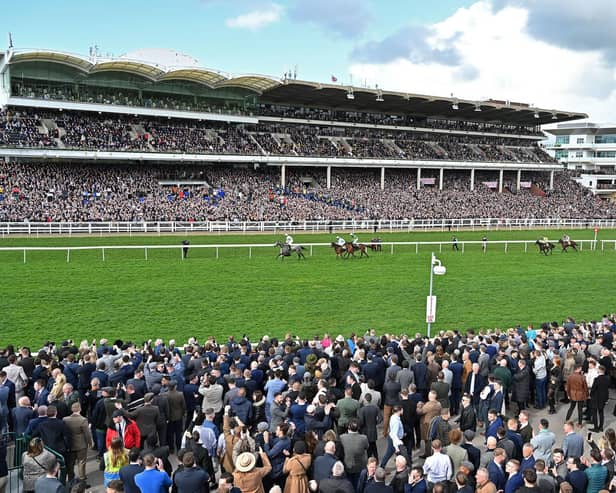 The stage is set for the 2024 Cheltenham Festival from Tuesday to Friday, with big crowds sure to relish the best Jumps racing in the world. Check out 20 of the best horses who could make the headlines.