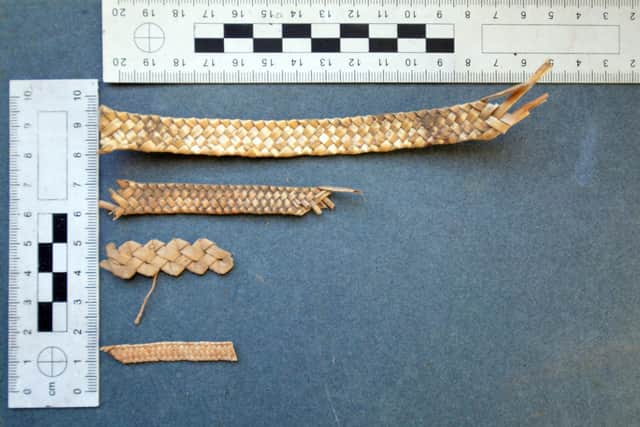 Plate 16 braid