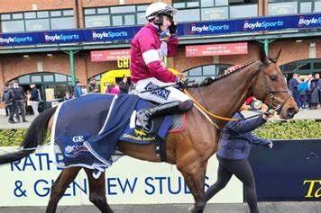 Irish trainer Gordon Elliott has saddled a fair few top-class jumpers in his time. After all, he won the 2016 Cheltenham Gold Cup with Don Cossack and he's also celebrated three Grand National triumphs with Tiger Roll and Silver Birch. So when he says BRIGHTERDAYSAHEAD might just be the best of the lot, we'd better sit up and take notice. The 5yo, unbeaten in five starts so far, is a warm favourite for the Ryanair Mares' Novices' Hurdle on Thursday (4.50),a race sponsored by her owner, the boss of Gigginstown House Stud, the charismatic Michael O'Leary, of Ryanair fame