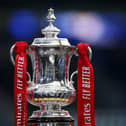 Luton will be in FA Cup action next month - pic: Alex Pantling/Getty Images