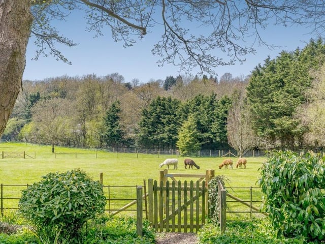 With views of the countryside and grazing animals in nearby fields, you'll feel like you're stepping into some sort of novel.