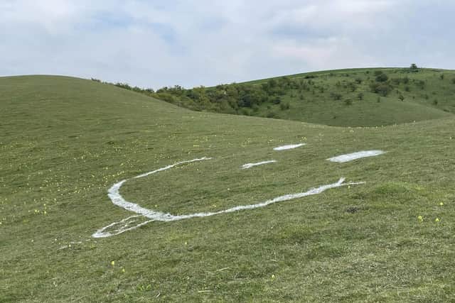 Pictured: The spray painted face on the slope