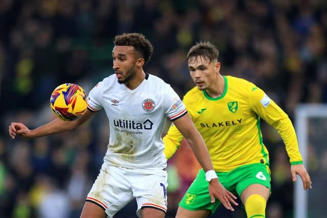 Luton striker Jacob Brown shields the ball away from Norwich's Callum Doyle - pic: Stephen Pond/Getty Images