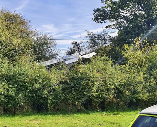 The plane crashed into a tree. (picture: Bedfordshire Fire Control)
