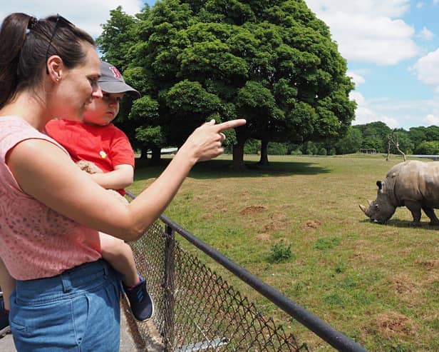 Whipsnade Zoo is the perfect day out this May Half Term.