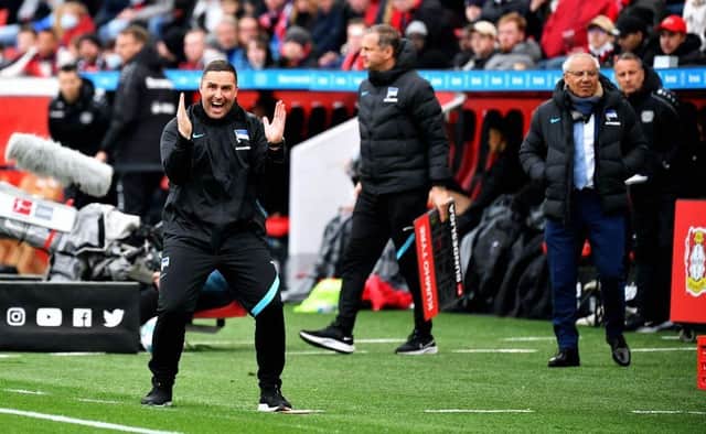 New Huddersfield manager Mark Fotheringham