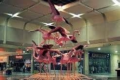 The Arndale's famous Flamingoes