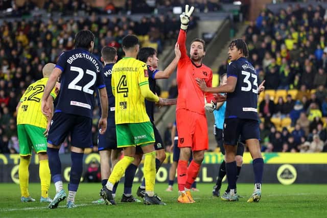 Norwich City keeper Tim Krul in action for the Canaries - pic: Stephen Pond/Getty Images