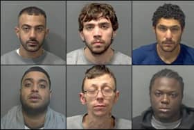 Here are just some of the criminals sent down this year. Pictures: Bedfordshire Police
