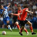 Joao Pedro looks to get away from the Hatters defence during Luton's opening day defeat at Brighton & Hove Albion - pic: Mike Hewitt/Getty Images