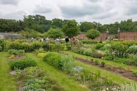 Luton Hoo's historic walled garden is now open for visitors again
