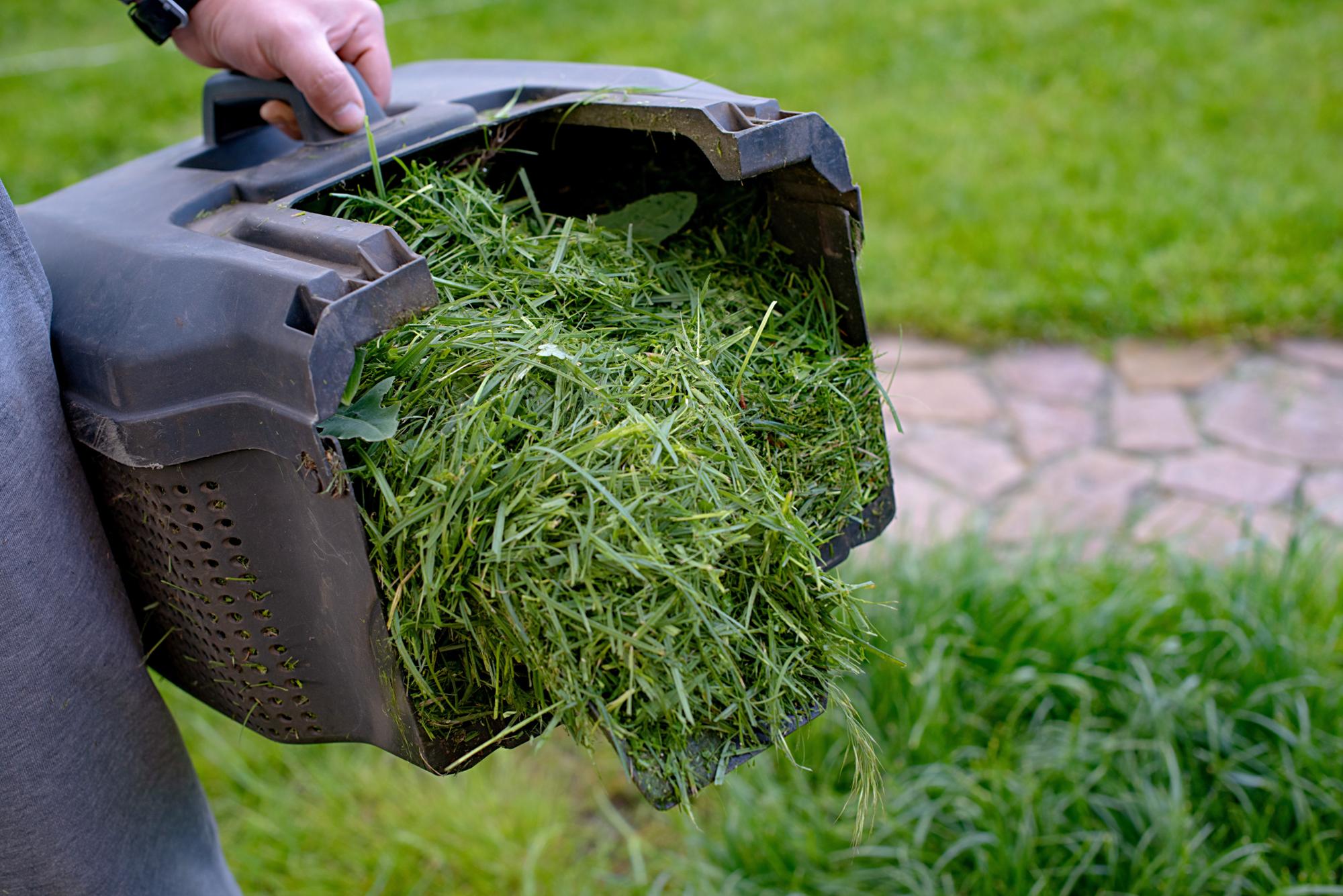 Garden waste collections to stop for winter across Central Bedfordshire