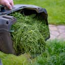 Mowing grass with a petrol lawn mower in spring. container with the mown grass to it in the compost