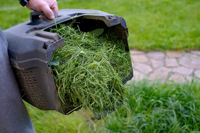 Mowing grass with a petrol lawn mower in spring. container with the mown grass to it in the compost