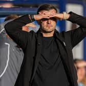 Jack Wilshere has been in charge of Luton for a year now - pic: David Horn / PRiME Media Images