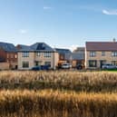 Taylor Wimpey secures planning approval for 500 new homes in Barton-le-Clay (Representative street scene - Taylor Wimpey development in Bedfordshire pictured)
