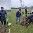 Thirty trees were planted on the day
