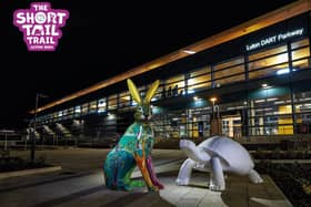 Hare and tortoise sculptures for Keech Hospice Care's Short Tail Trail 2024