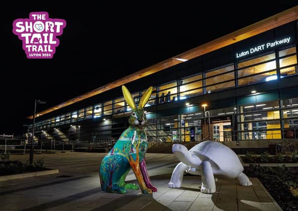 Hare and tortoise sculptures for Keech Hospice Care's Short Tail Trail 2024