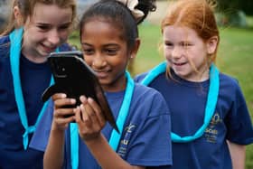 Scouts Cyber Activities