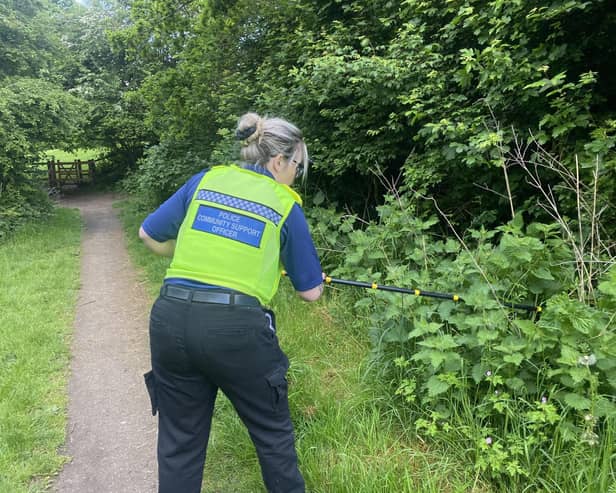 Officer on a knife sweep near Wigmore. Picture: Olivia Preston