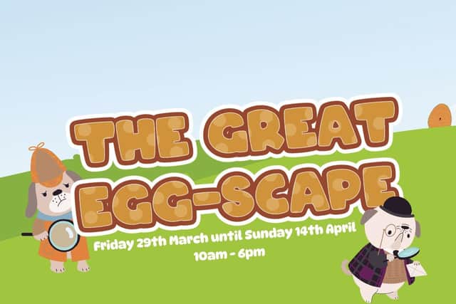 The Great Egg-scape is coming to Luton town centre