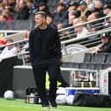 Hatters boss Jack Wilshere watches on against MK Dons - pic: Jane Russell