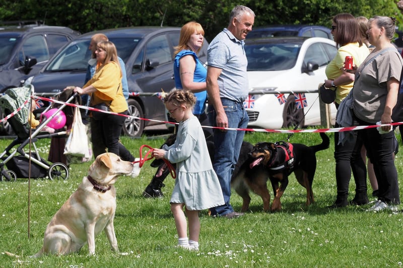 At the fete, there was a dog show featuring a young handler with her golden Labrador
