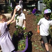 Schoolchildren take part in garden activity. Picture: Central Bedfordshire Council