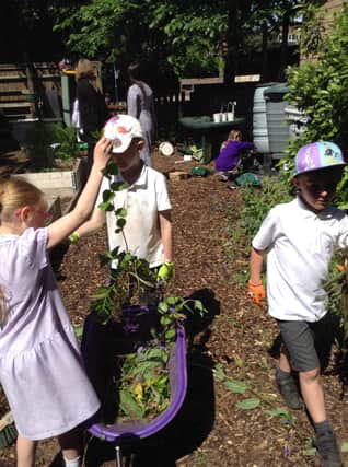 Schoolchildren take part in garden activity. Picture: Central Bedfordshire Council