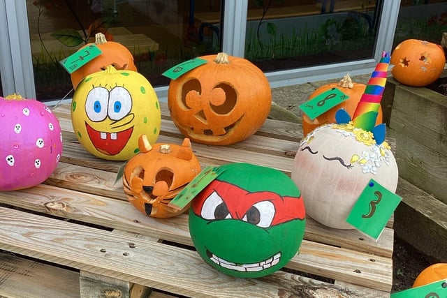 Some of the pumpkins on display.