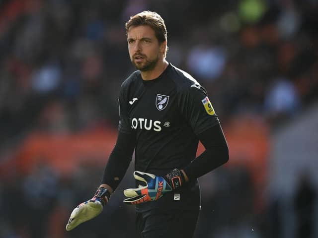 Tim Krul has been linked with a move to Luton Town - pic: Gareth Copley/Getty Images