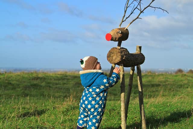 Join the Christmas trail at Dunstable Downs - (c) National Trust Images - Beth Weston