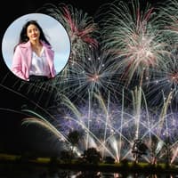 'Something has to change' says Luton MP as poll shows 1 in 5 pet owners want fireworks banned