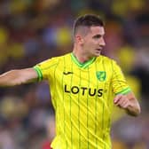 Norwich midfielder Kenny McLean was sent off against Luton on Tuesday night