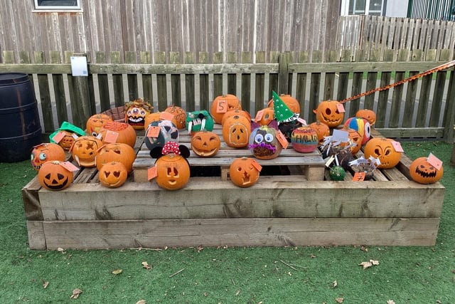 Some of the pumpkins on display.