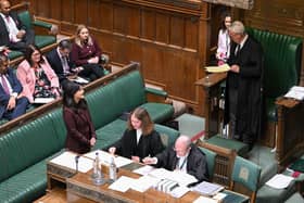 Sarah Owen presenting her Fireworks Bill. Picture: House of Commons